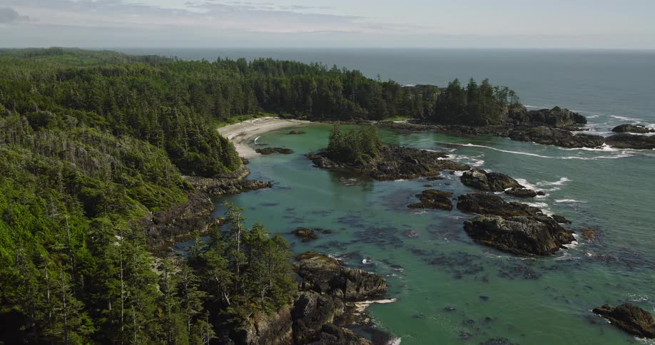 A still aerial view captures the pristine beauty of a secluded rocky coastline with a turquoise bay and lush evergreen forest