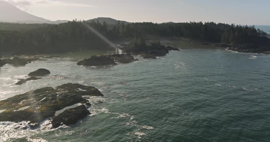 Sunlight streams down on the rugged, forested coastline of the Pacific Northwest as gentle waves wash over the rocky shore