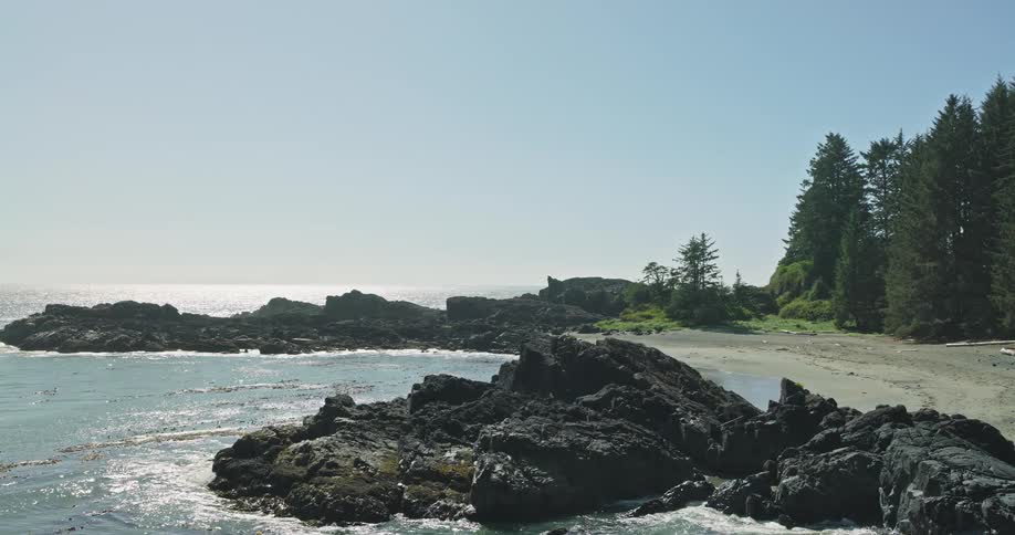 Sunlight glints off the ocean along a tranquil, rocky coastline bordered by a sandy beach and dense forest
