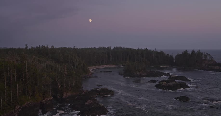 The full moon shines over a tranquil, rocky coastline and dense evergreen forest at dusk