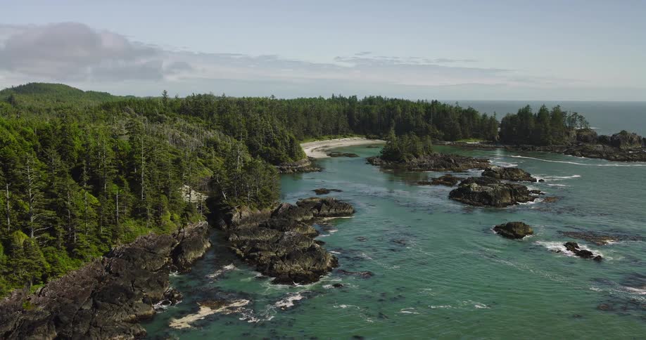 Stunning aerial footage slowly reveals a secluded sandy cove nestled along a rugged, forest-lined coastline with tranquil turquoise waters
