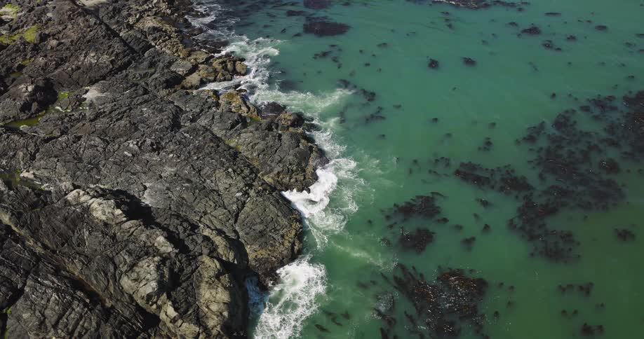 A serene aerial perspective shows turquoise water washing against a dramatic rocky coastline rich with seaweed