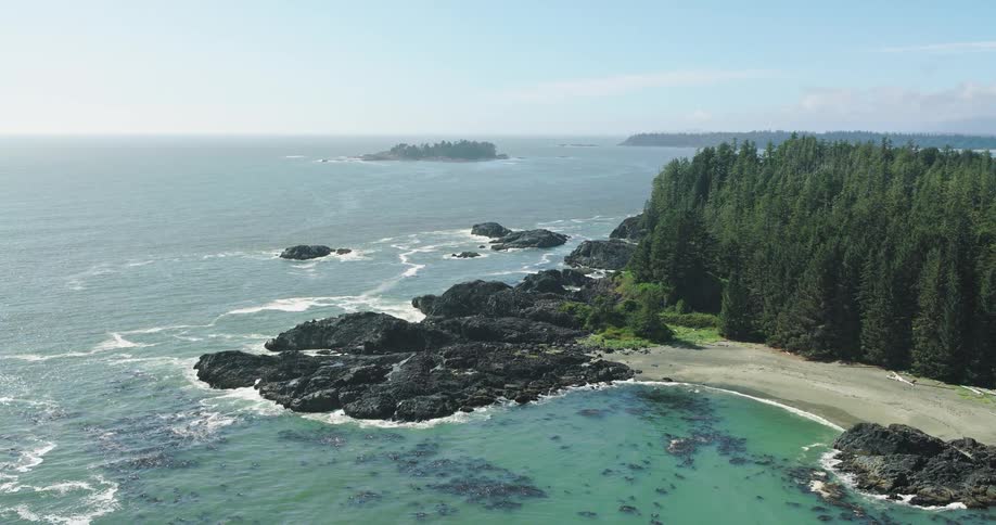A beautiful aerial view captures the rugged, tree-lined coastline meeting the turquoise waters of the Pacific Ocean on a sunny day