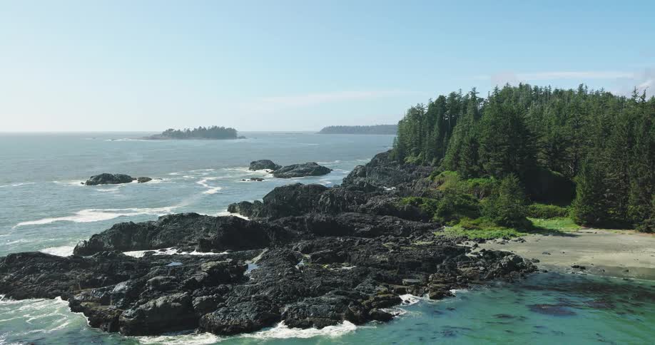 An aerial view of a rugged, rocky coastline where a dense evergreen forest meets the serene ocean on a sunny day