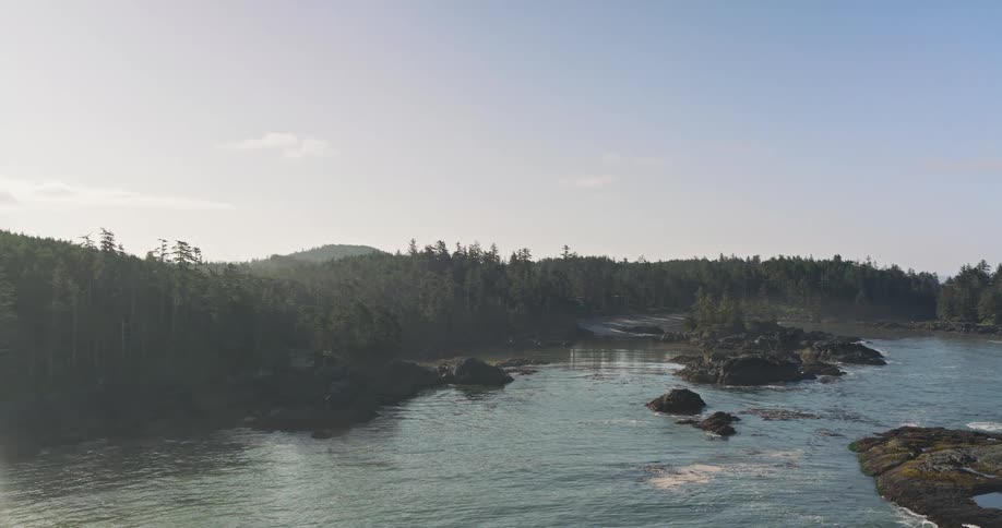 A stunning and serene wide shot of a rugged coastline with a dense evergreen forest meeting the calm ocean on a bright day