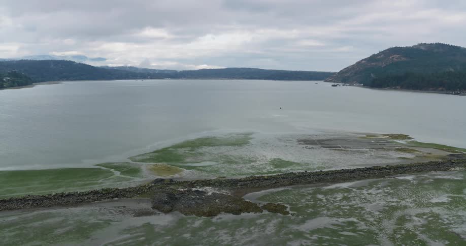 A stunning aerial view pans slowly over a tranquil bay at low tide, revealing a rocky spit and lush green tidal flats with forested islands in the distance