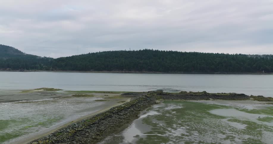 An aerial view slowly advances over a calm, mossy bay at low tide, approaching a rocky breakwater with a forested island under an overcast sky