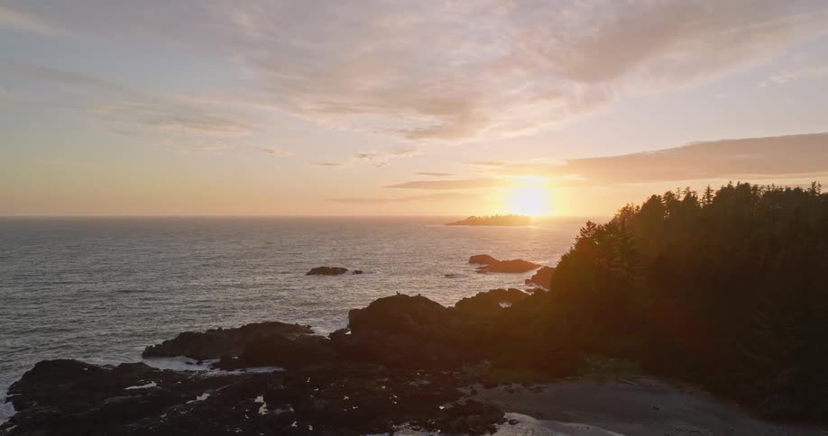 A tranquil sunset casts a golden glow over the vast ocean and a rugged, tree-lined coastline