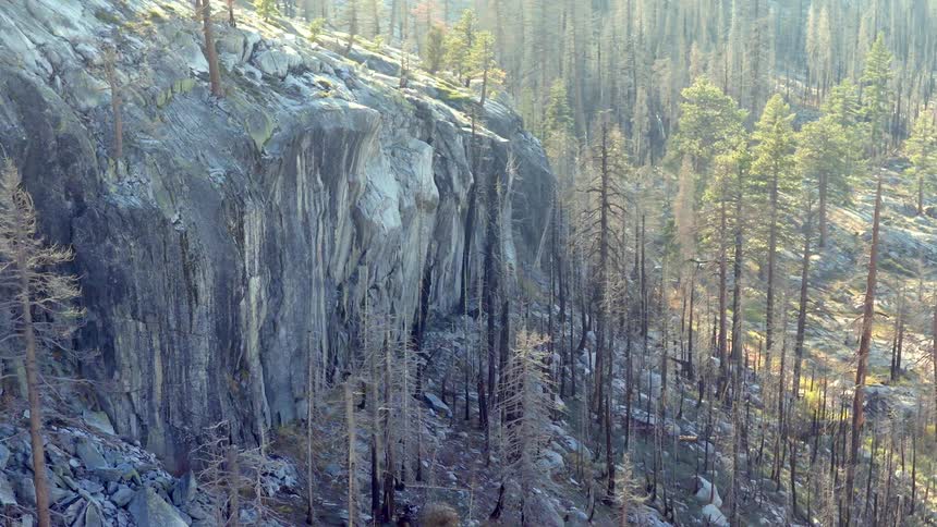 Cinematic pull-back shot reveals a vast forest landscape recovering after a devastating wildfire on a granite mountain