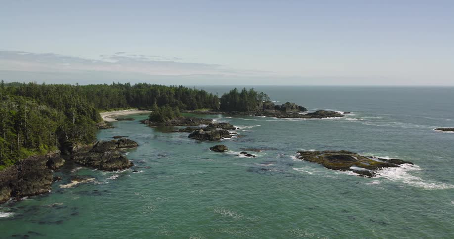 An expansive aerial view of a rugged Pacific Northwest coastline where lush forest meets the turquoise sea