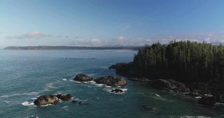 A tranquil wide shot captures the rugged beauty of a Pacific Northwest coastline where a dense evergreen forest meets the rocky shore