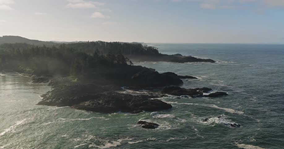 A majestic aerial view slowly pulls back over a rugged, misty coastline where a dense evergreen forest meets the rocky shores of the ocean