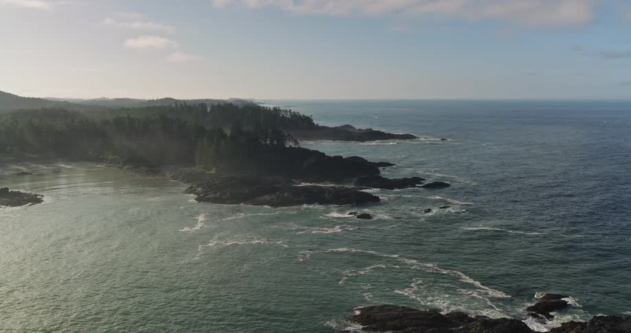 A slow aerial pullback reveals the stunning and rugged coastline where a dense forest meets the expansive ocean