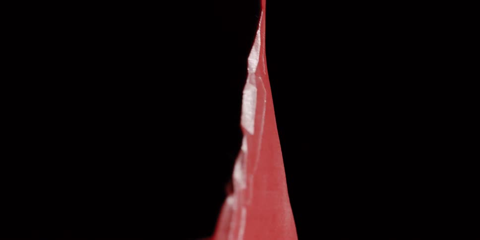 A macro close-up reveals the intricate textures and curves of a rotating red abstract sculpture against a black background