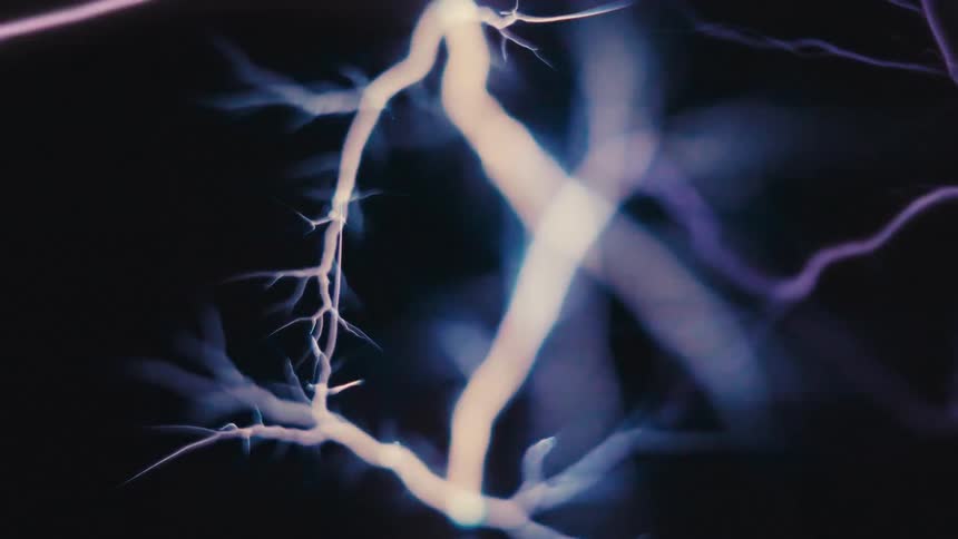 Abstract organic lines of energy and electricity branch out like lightning against a black background