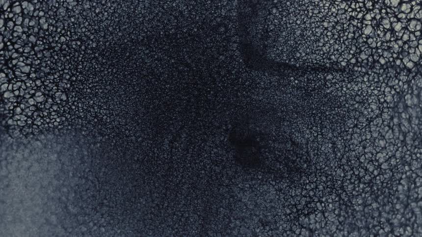 A mesmerizing macro shot of dark, textured ink slowly spreading across a surface, creating intricate cellular patterns