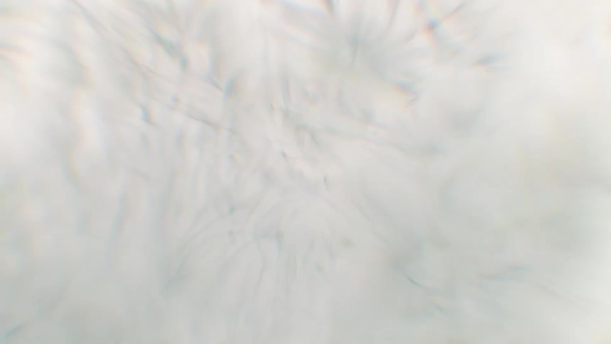 A soft, dreamy abstract background with ethereal white textures gently drifting in slow motion