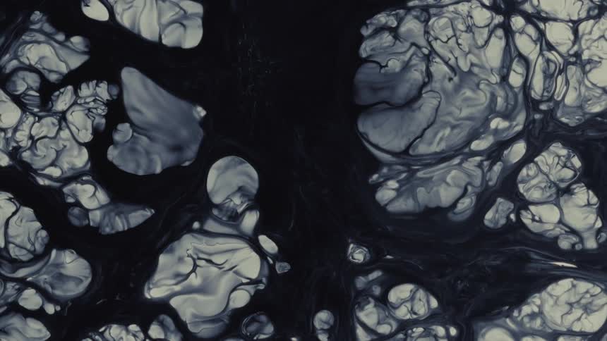 Slow-moving black and white liquid ink creates mesmerizing and organic cellular patterns