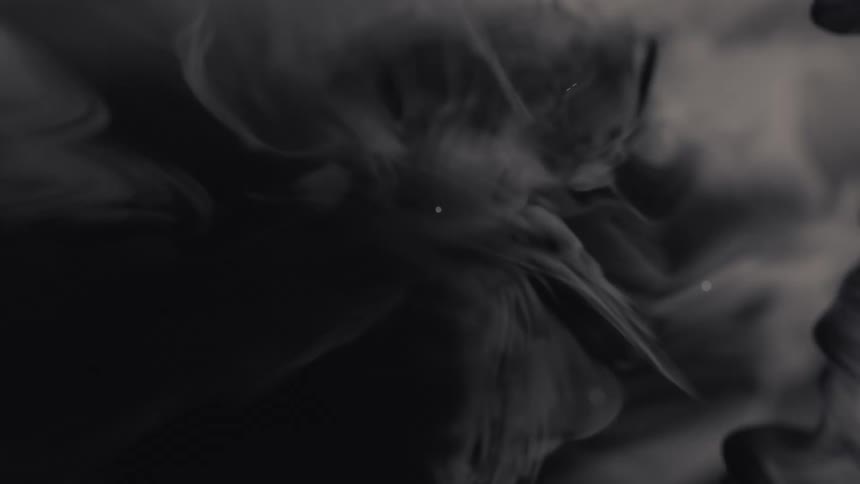 A mesmerizing black and white abstract shot of thick ink swirling and blooming in water