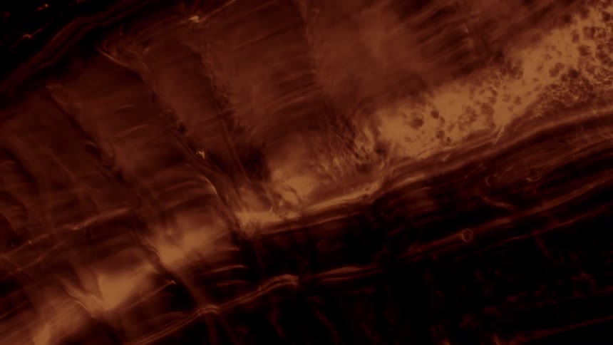 A dark, abstract background of slowly morphing, layered textures in earthy brown tones