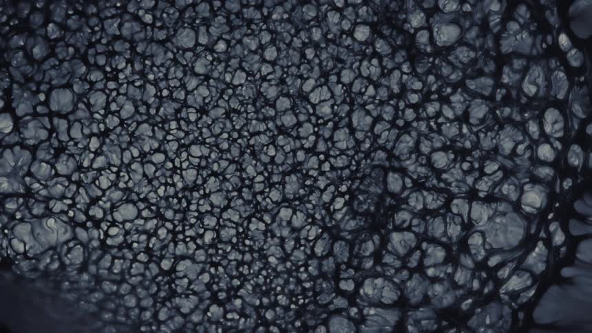 An abstract macro shot reveals a dark, viscous liquid forming a complex, web-like cellular structure