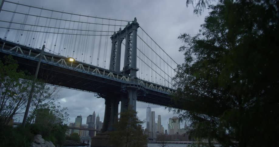 The bridge in new york city overlooking the skyline