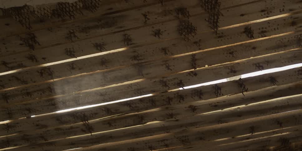 A bright sunbeam cuts through the darkness, illuminating dust particles floating under an old wooden slat ceiling