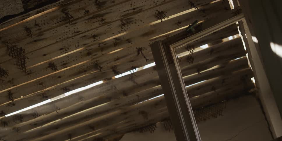 Sunlight streams through the damaged wooden ceiling of an old, abandoned house, illuminating floating dust