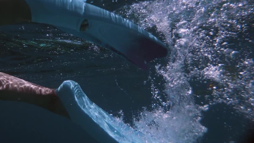A person swims with flippers in a body of water
