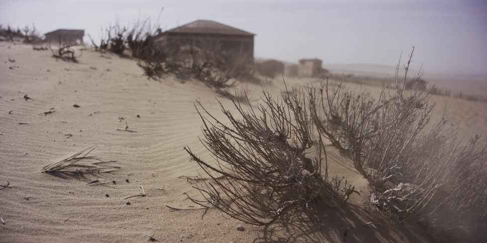 Strong winds sand across a desert landscape past a dry bush with abandoned buildings in the background