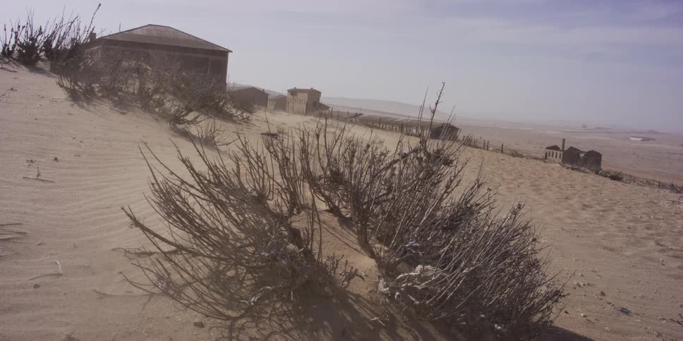 Strong winds whip sand past a dead bush and across the desolate landscape of an abandoned desert ghost town