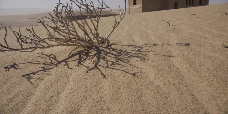 A slow pull-back shot reveals a dead bush on a sand dune with an abandoned desert building in the background