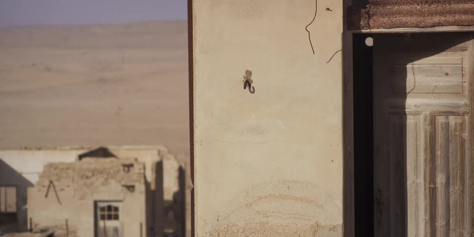 A small gecko clings to the wall of a decaying building in an abandoned desert ghost town