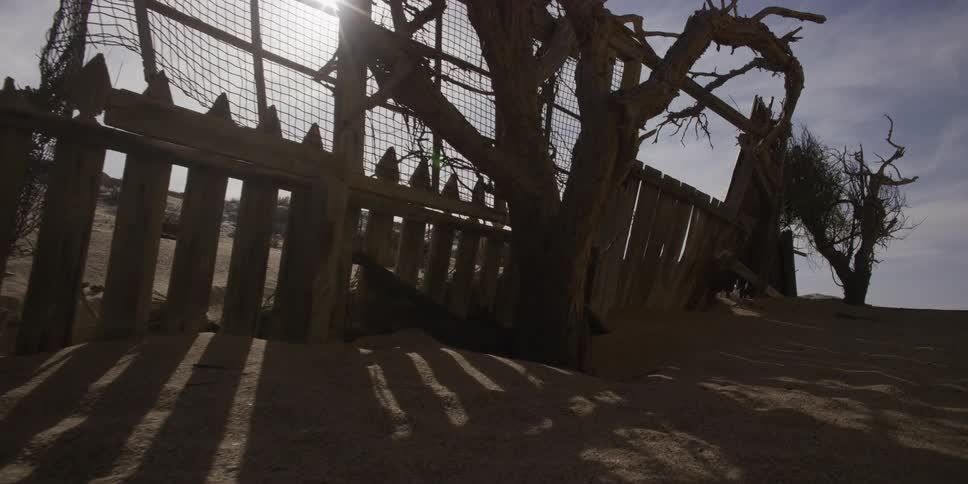 A slow dolly shot moves towards a desolate, broken wooden fence and a gnarled dead tree, both partially buried in desert sand under a harsh, bright sun