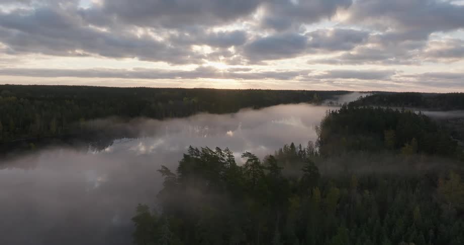 A stunning aerial view shows a misty sunrise over a tranquil lake surrounded by a dense evergreen forest