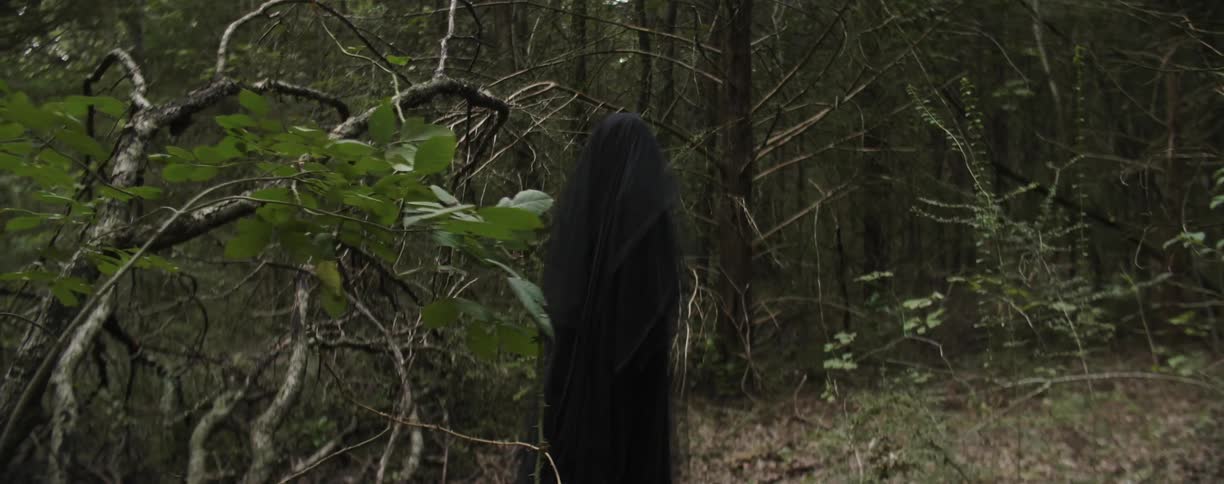 A paranormal figure stands in the woods