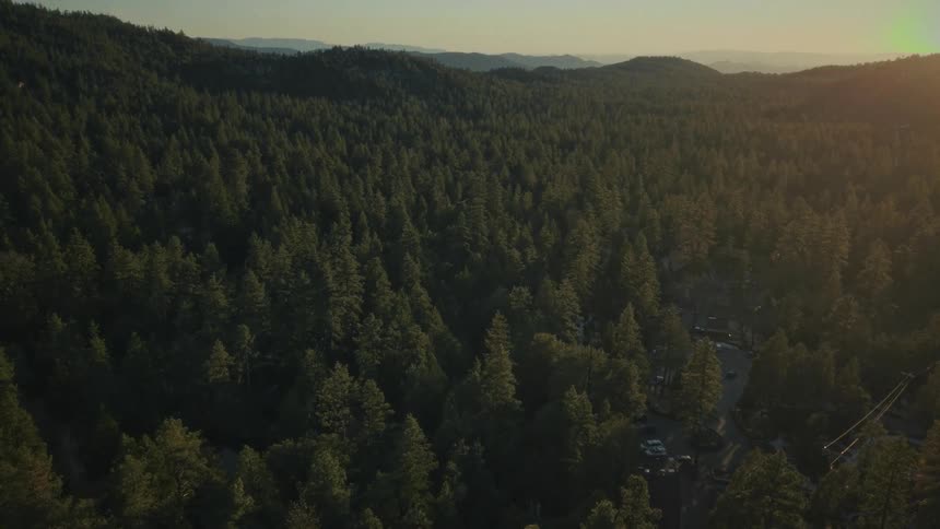 An aerial view pulls back and tilts up to reveal a vast mountain forest illuminated by the golden light of sunset