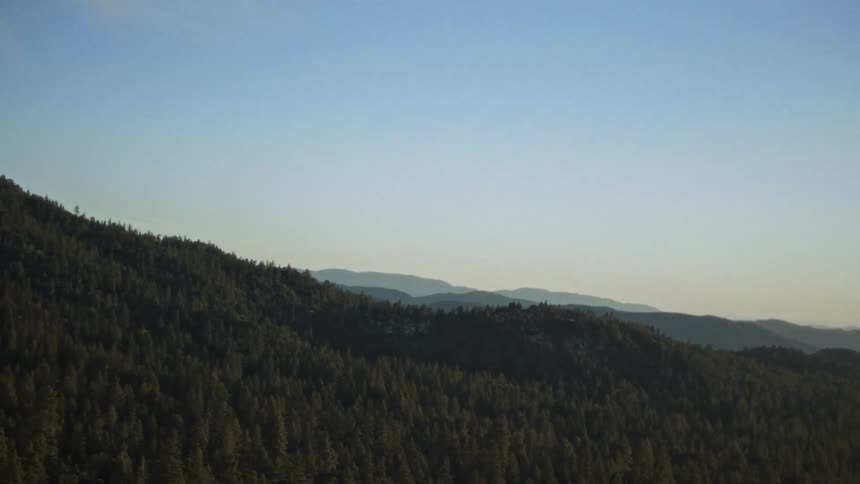 A slow vertical pan reveals a vast, serene mountain range covered in a dense pine forest under a clear blue sky
