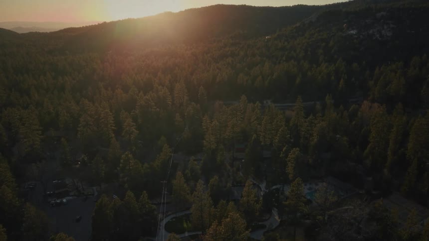 A breathtaking aerial view reveals a vast pine forest and mountain community during a golden hour sunrise