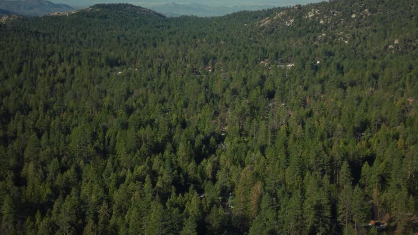 A slow aerial tilt up reveals a vast, dense evergreen forest stretching across a mountainous landscape