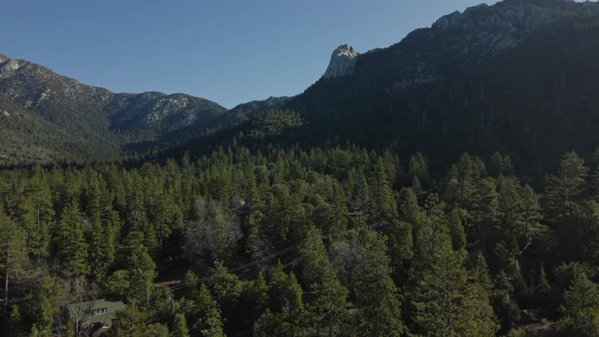 An expansive aerial view slowly pushes over a dense pine tree forest toward a majestic mountain peak under a clear blue sky
