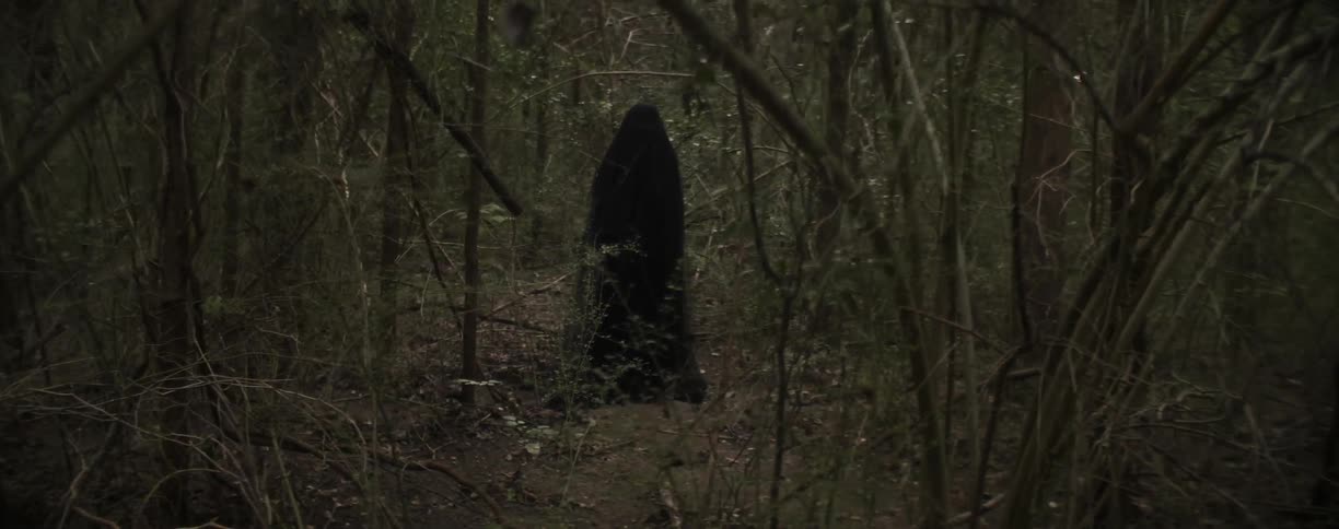 Woman with long dark hair stands still in a leafless forest