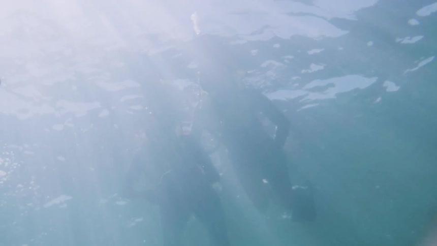 Snorkelers swim in the ocean