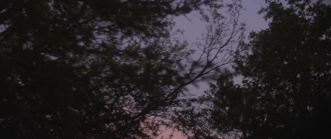 Pink and purple splash the sky to trees and leaves