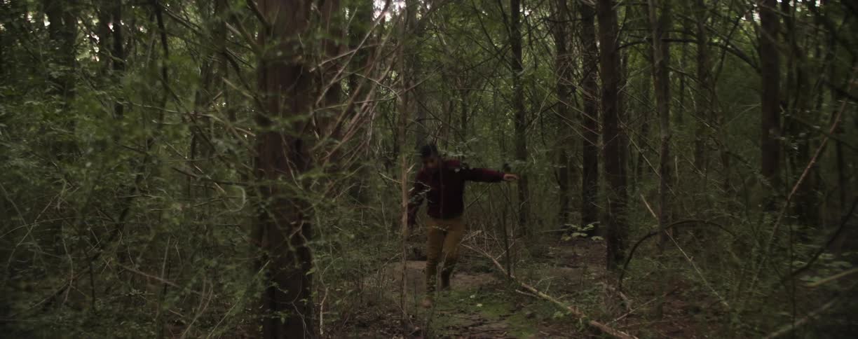 A man walks in the woods