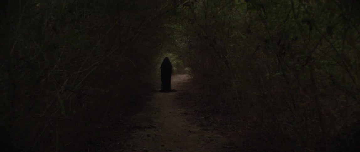 Long haired woman stands still amongst a dead forest