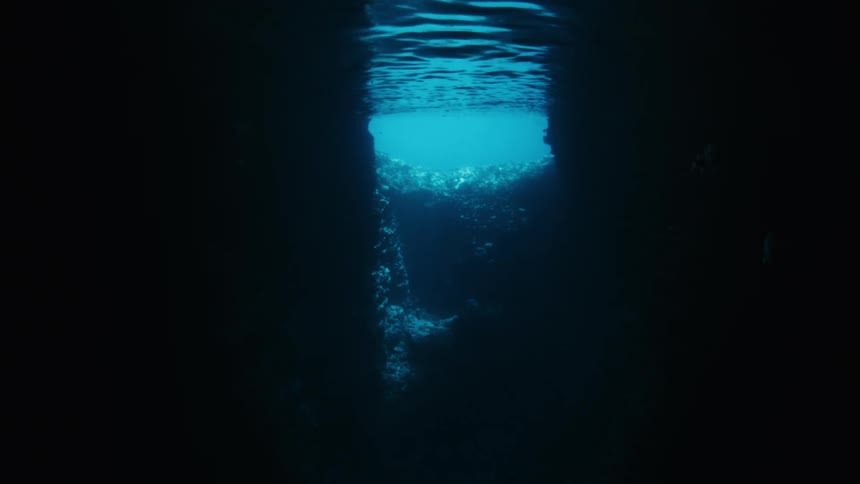 An underwater view from inside a dark sea cave looks up towards the bright, shimmering surface as fish swim by
