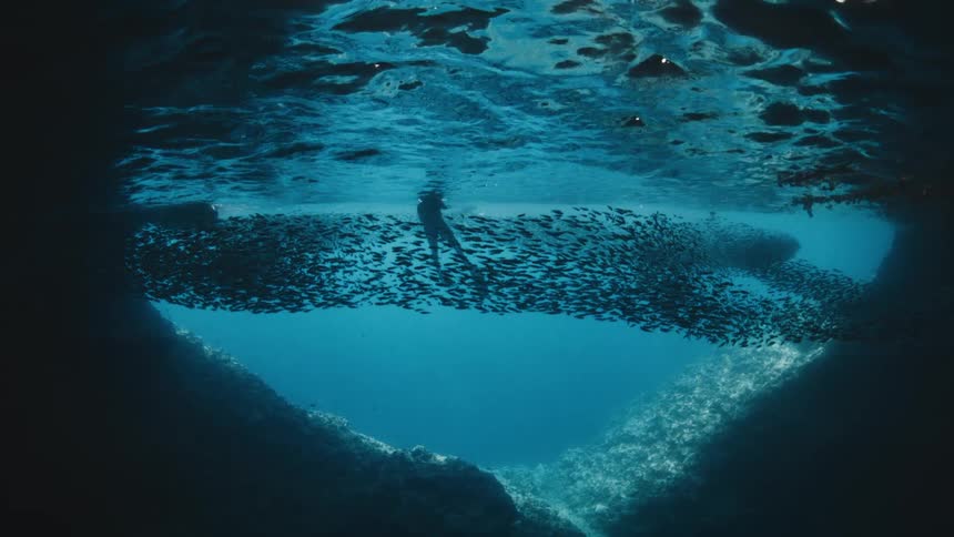 A serene underwater view from a dark cave shows a diver on the surface with a massive school of fish, framed by a heart-shaped rock formation