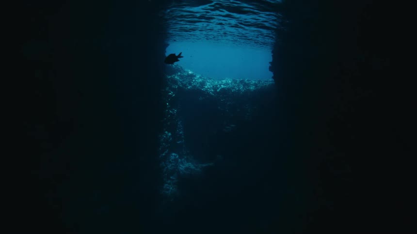 A lone fish swims in silhouette at the entrance of a dark underwater cave, with the bright ocean surface visible above