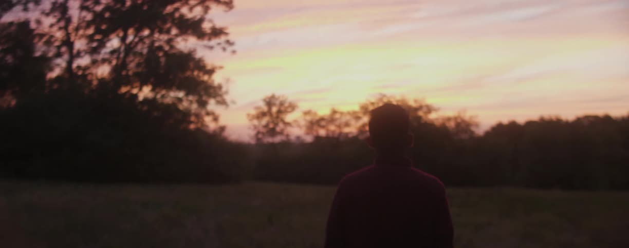 A man walks down a field at dawn